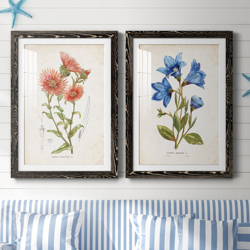 Botanical I - 2 Piece Print, White, Black Framed Paper, 37.5" H x 27.5" W x 1" D