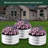 Galvanized Raised Garden Beds, 3Pcs 2x2x1Ft Round Metal Planter Box for Outdoor Gardening, Silver-519733685