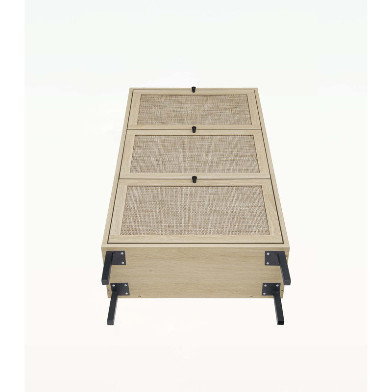 Freestanding Modern Shoe Storage Cabinet, Natural, Black
