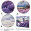 Lavender Mills I, reproduction d'art sur toile-669540803-669540863