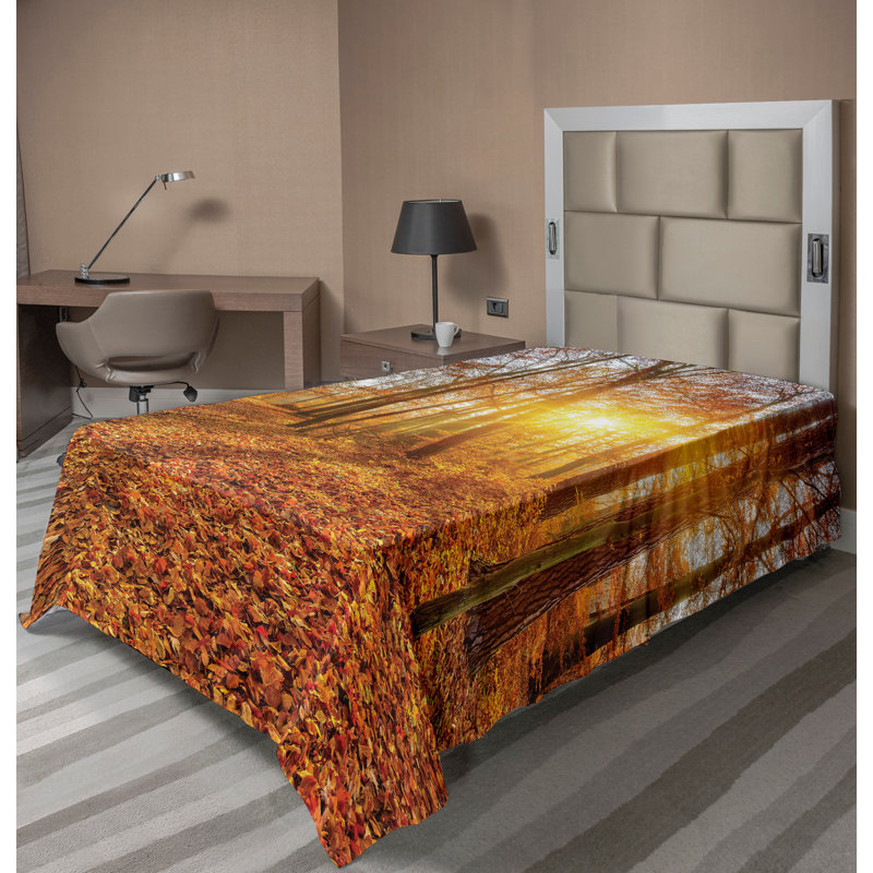 Drap-housse Ambesonne, Simple extra long