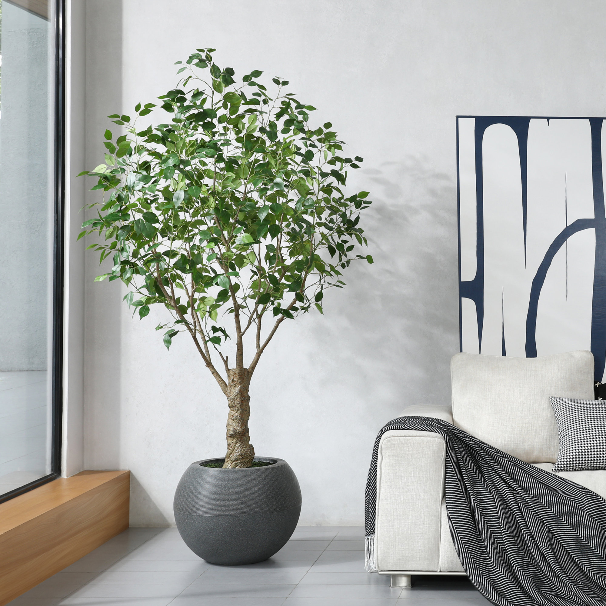 Ailsa 7ft UV Resistant Fake Ficus Tree with Grey Tall Planter for Indoor Outdoor Office Home Decor