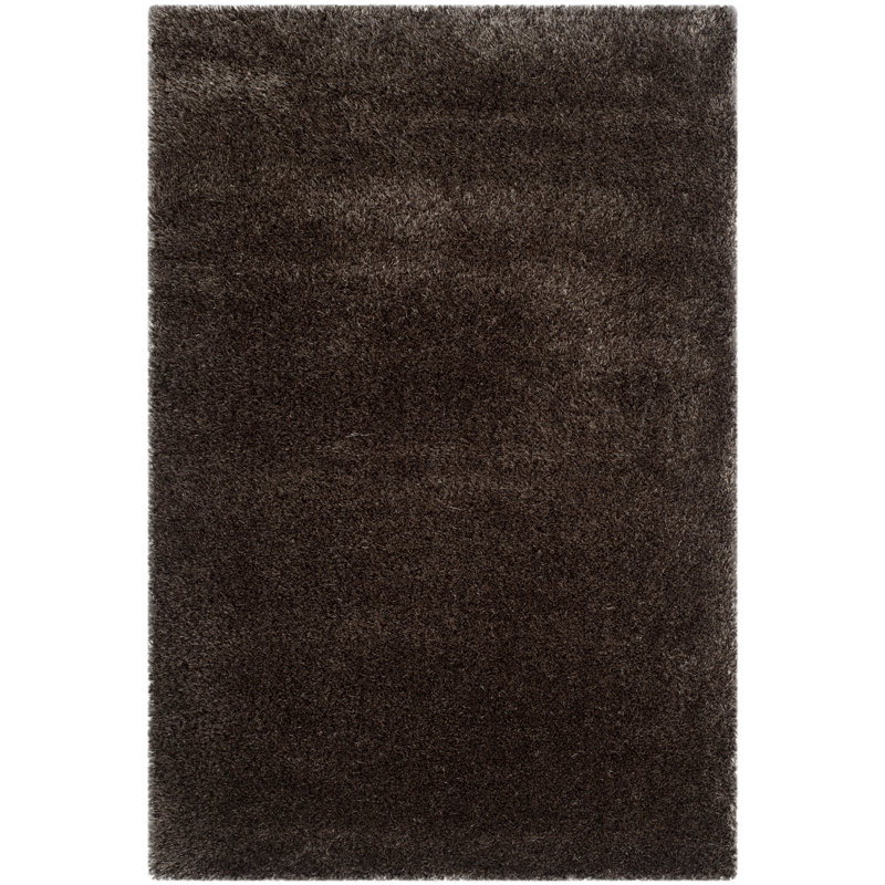 Tapis brun à poils longs Delane, Rectangle 4 pi x 6 pi