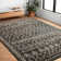 Aparicio Southwestern Indoor Rug