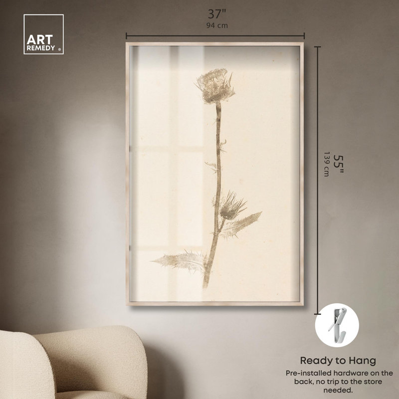 Art botanique Austere Beauty Shadowbox par Art Remedy, H 55 po x l 37 po, Crème, crème