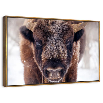 Frosty Bison