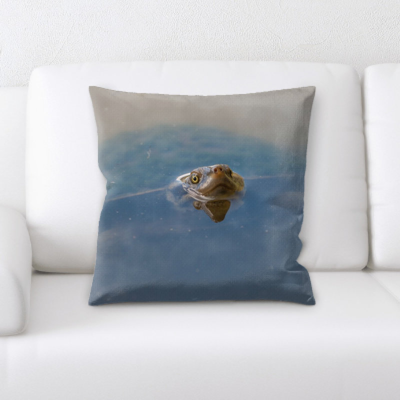 Coussin en tortue Layton