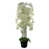 White is out of stock selected