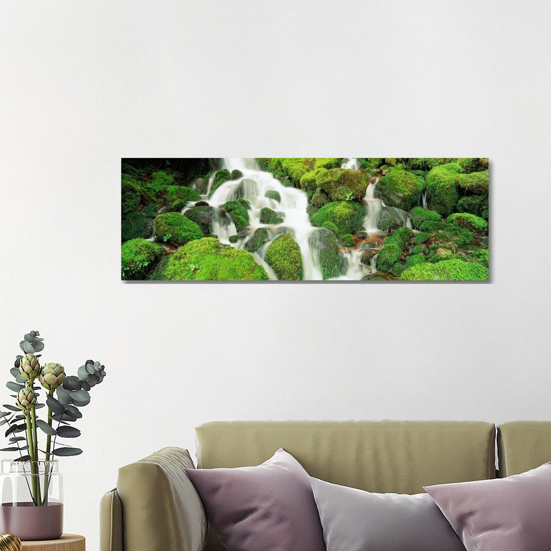 Sol Duc Falls, Olympic National Park, Washington, USA by Panoramic Images - Wrapped Canvas Panoramic Print