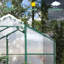 Gain à hauteur de serre résistante au vent 6 pi x 8 pi - La construction sans rendez-vous pour le jardinage améliore la croissance et le développement des plantes Le polycarbonate d'aluminium crée un environnement toute l'année