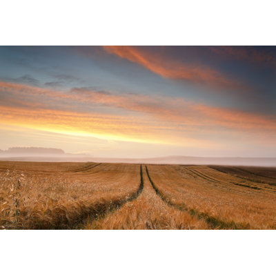 " Sunrise Fields " by Mliberra