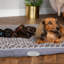 Wilton Polyester Pet Bed