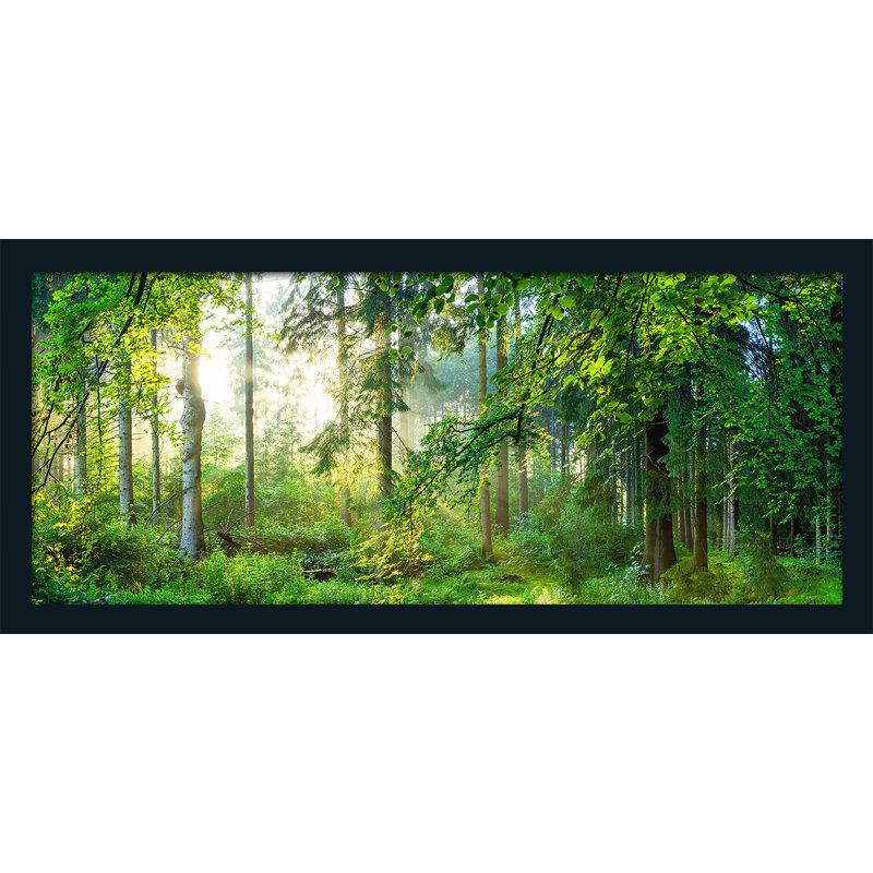 Forest Harmony - Single Picture Frame Print