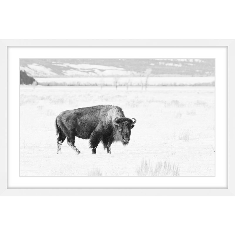 Single Picture Frame Painting, 61cm H x 91cm W