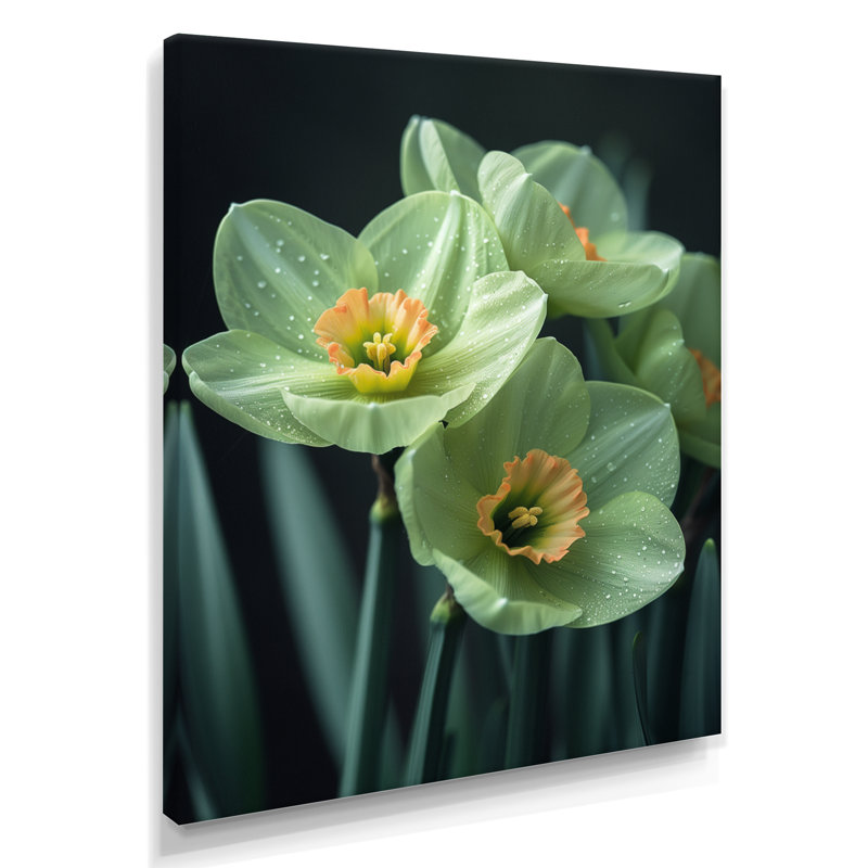 Monochromes jardin glamour jonquilles I - jonquilles murales salon, Toile tendue, H 12 po x l 20 po