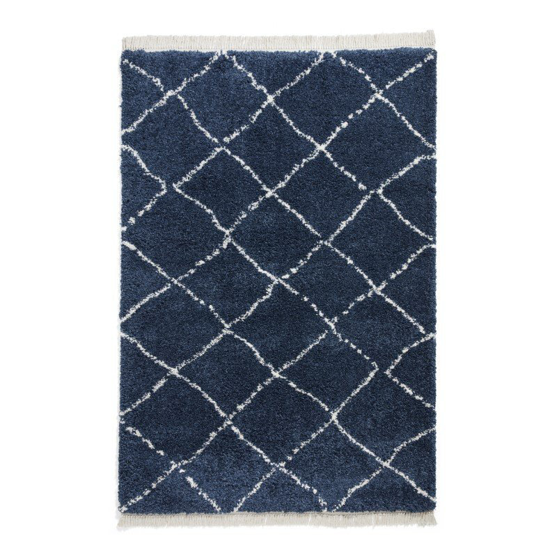 Pechler area rug Machine Woven Navy, Rectangle 160 x 230cm
