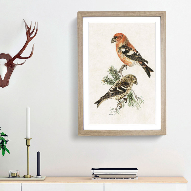 Crossbill Birds by Von Wright - Picture Frame Painting Print, 65cm H x 48cm W x 2cm D, Oak Framed
