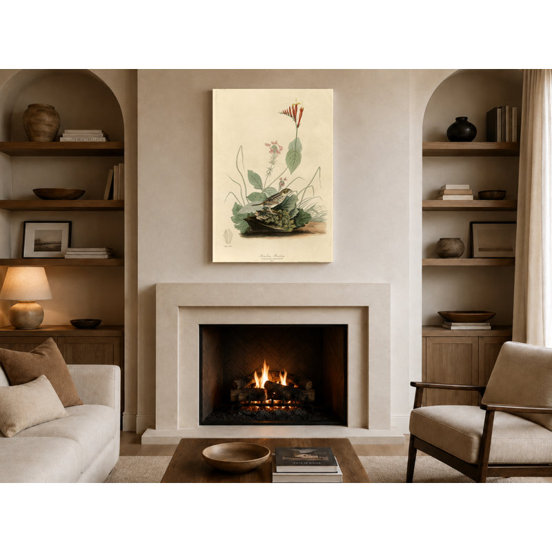 Henslow's Bunting, Plate XIX - Portrait, art mural sur toile, 30" W x 20" H