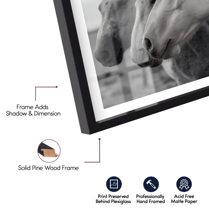 Art mural de salon Noble Beasts IV Shadowbox par Notoriart, cadre noir, 16 x 20, 21"H x 17"W, Black Frame