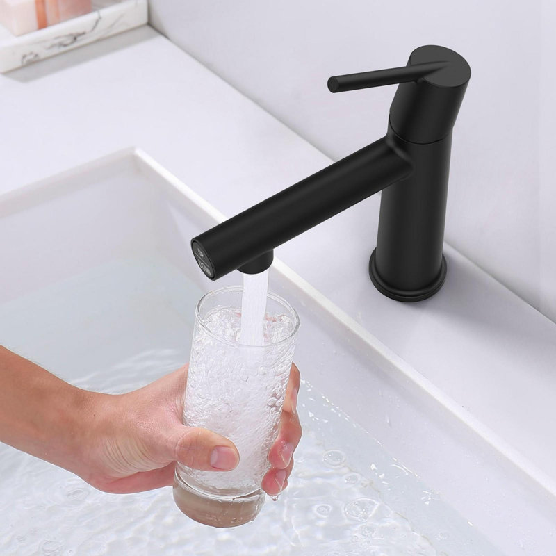 Robinet de lavabo de salle de bain monocommande en zinc, Noir mat
