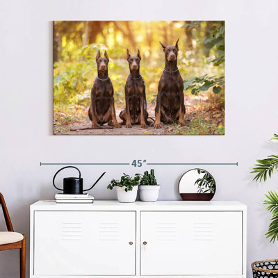 Doberman Pinschers