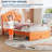 Upholstered Twin Princess Bed Frame with LED Lights & Storage Drawers - Soft Crystal Button Headboard - Noise-Free Slats - No Box Spring Needed - Orange Color-144624678