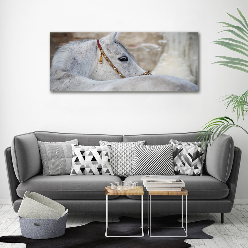 White Arabian Horse - No Frame Print on Canvas