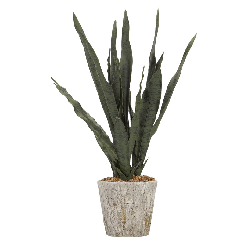 Faux Mother In Law's Tongue Plant in Cement Planter, 26" H x 17" W x 20" D