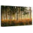 Harnek Grassy Birch Forest-107860769