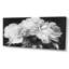 Pivoines en blanc et noir - impression sur toile encadrée de pivoines-1615423324-1615423320-1615423322