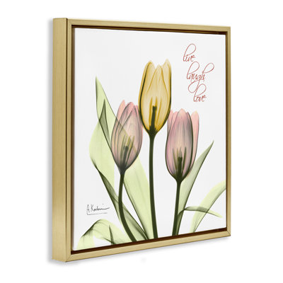 «Live Laugh Love Tulips», art mural encadré flottant gris par Albert Koetsier