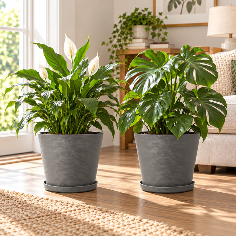 Round Planter With Tray Collecting Wate Indoor Outdoor Plant Pots For Porch, Patio, Backyard, Grey, 4
