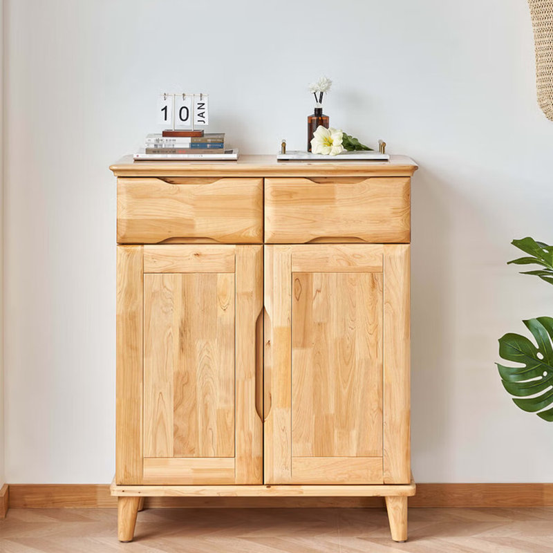 Modern simple storage shoe cabinet