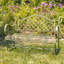 Banc de jardin en métal Stephania-32736057