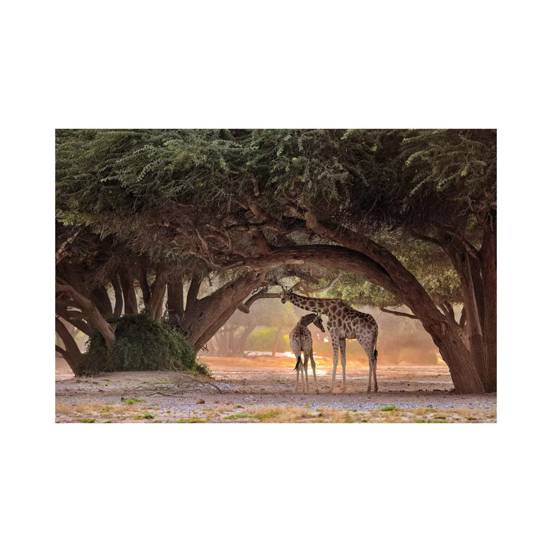 Giraffe - Namibia by Giuseppe Damico - Wrapped Canvas Gallery-Wrapped Canvas Giclée, 66.04 cm H x 45.72 cm W x 3.175 cm D
