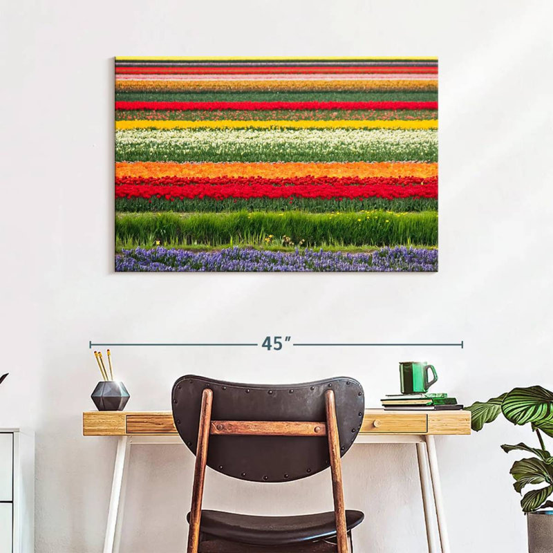 Rorry Bollenstreek Tulips, 26" H x 39" W