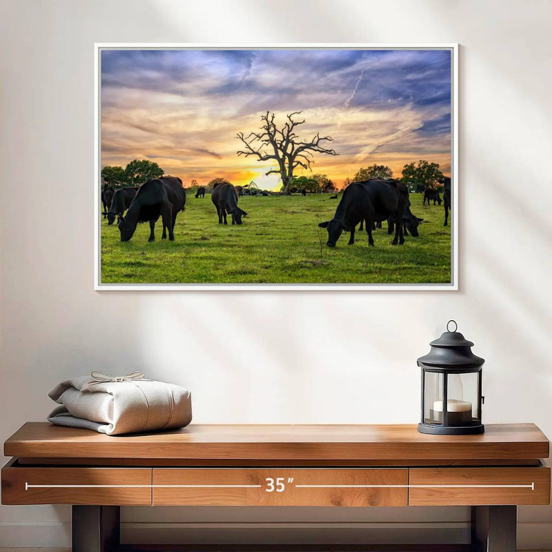 Pâturages Aberdeen Angus, Cadre flottant blanc, 25 po x 17 po