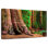 Harnek Sturdy Sequoia Tree