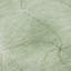 Tapis menthe Prisco lavable à la machine de qualité supérieure-200061454