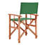 Loganton Folding Director Chair