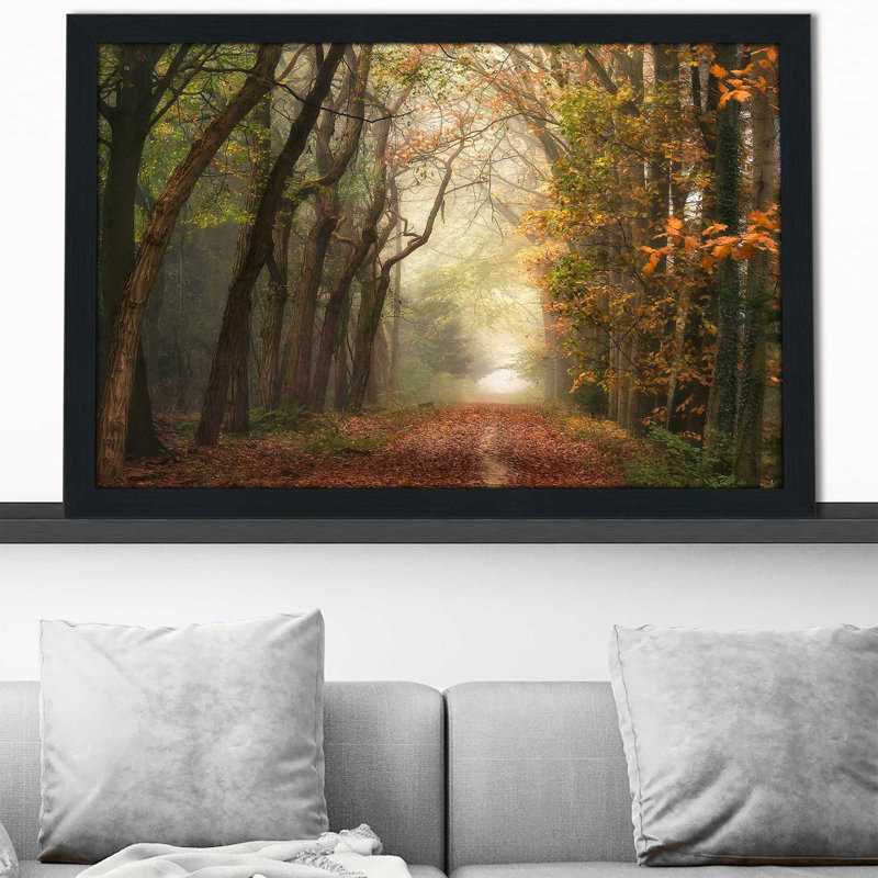 «Path of Dreams» par Lars Van de Goor - photographie, Cadre espresso, H 27,5 po x l 39,5 po x P 0,75 po