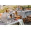 Mont Alpi MAPZ-SS Countertop Table Top Stainless Steel Portable Outdoor Gas Pizza Oven + Pizza Stone