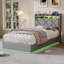 Upholstered Bed-354622439-354622443