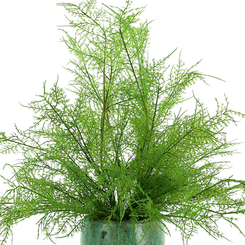 Mendell Faux Fern Plant in Ceramic Vase