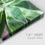 " Green Tropcal Succulent "-1482392795