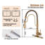 Bolden CASAINC 1.8 GPM Spring Neck Pull Down Kitchen Faucet with Deck Plate-93965564