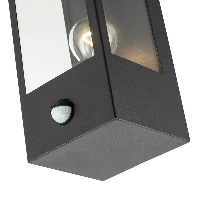 Brushed 24cm H Outdoor Wall Lantern