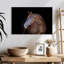 Cheval brun foncé Brampt-108888622
