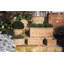 Zachariah Fiberglass Planter Box-14486395