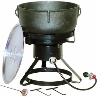 https://assets.wfcdn.com/im/99628019/resize-h310-w310%5Ecompr-r85/1446/144670745/tall-cooker-single-burner-high-pressure-propane-jambalaya-kit.jpg